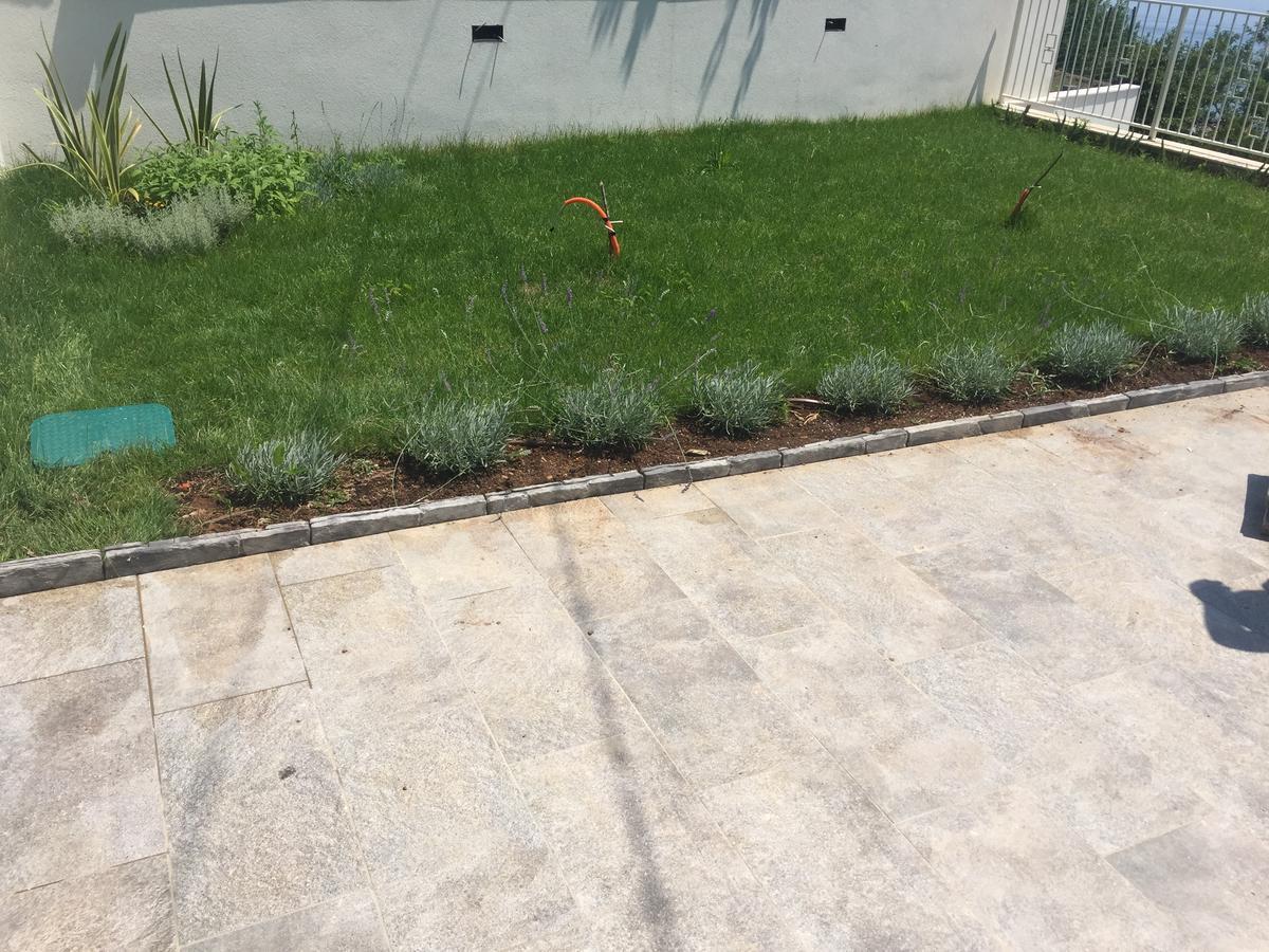 Vilă Carmen